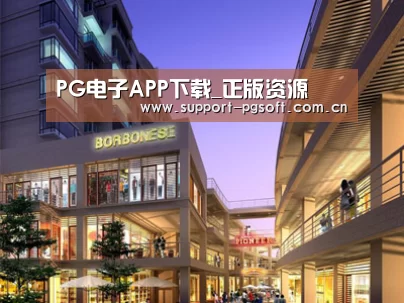 案例展示一(图1)