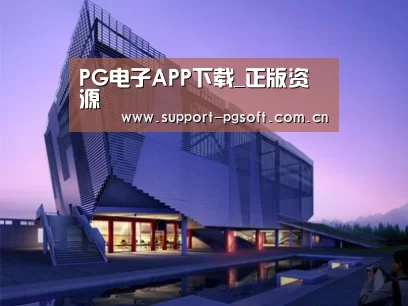 案例展示六