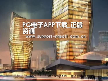 案例展示三