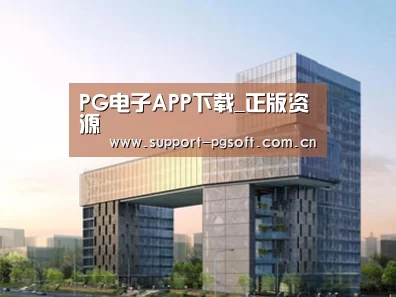 案例展示四
