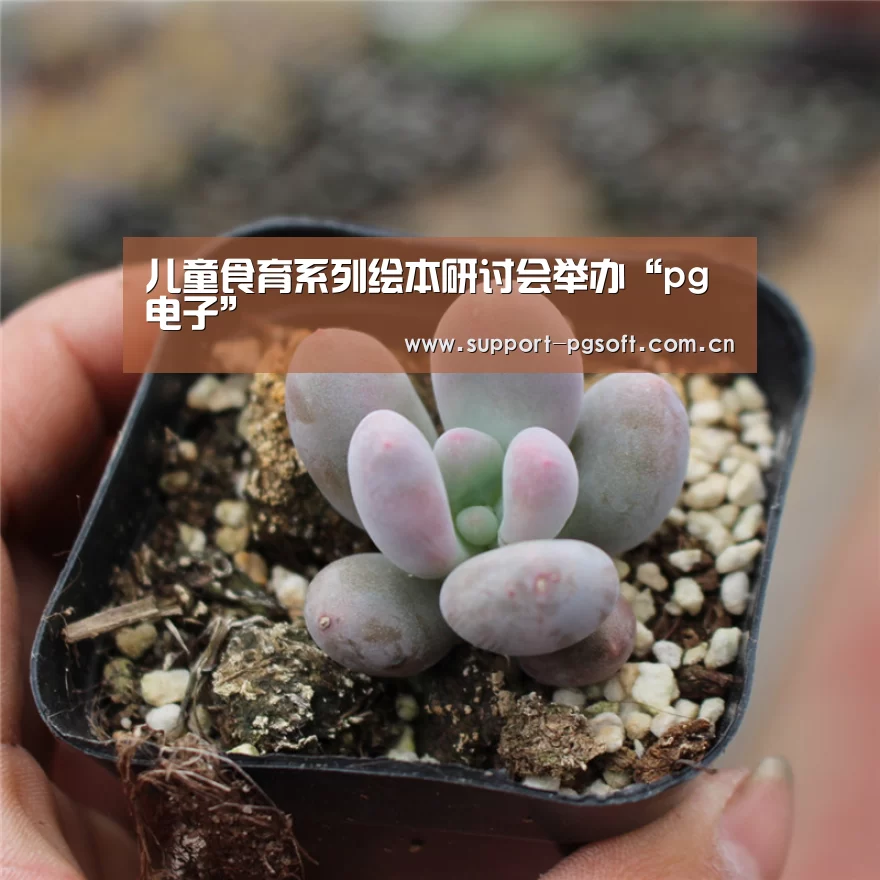 儿童食育系列绘本研讨会举办“pg电子”(图1) PG Soft