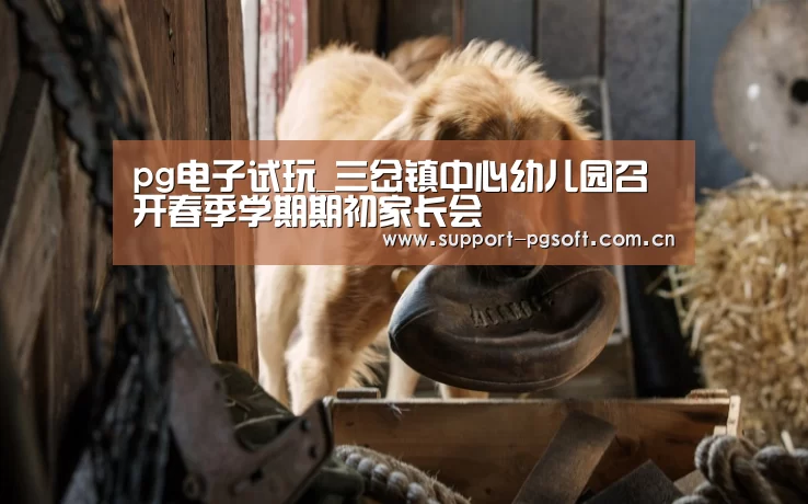 pg电子试玩_三岔镇中心幼儿园召开春季学期期初家长会